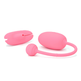 マジックケーゲルコーチ