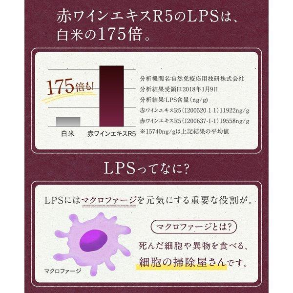 【タンポポQ10ミライ 1ヶ月分 60粒】ご夫婦一緒に dhea ミトコンドリア 妊活サプリ ジオスゲニン コエンザイムq10 亜鉛 DHEA ビタミンD ビタミンC ポリアミンソイポリア サプリメント 夫婦 不妊 更年期