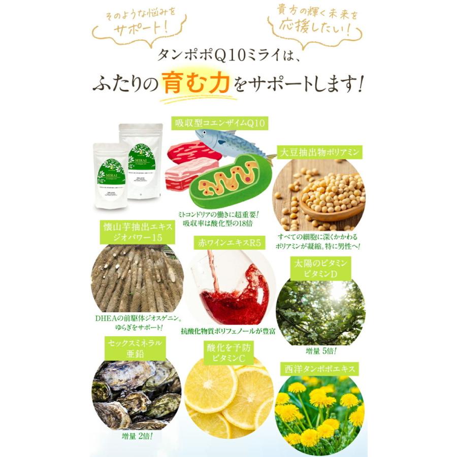タンポポQ10ミライ 1ヶ月分 60粒】ご夫婦一緒に dhea ミトコンドリア