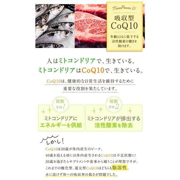 【タンポポQ10ミライ 1ヶ月分 60粒】ご夫婦一緒に dhea ミトコンドリア 妊活サプリ ジオスゲニン コエンザイムq10 亜鉛 DHEA ビタミンD ビタミンC ポリアミンソイポリア サプリメント 夫婦 不妊 更年期